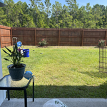 Fence Stain
