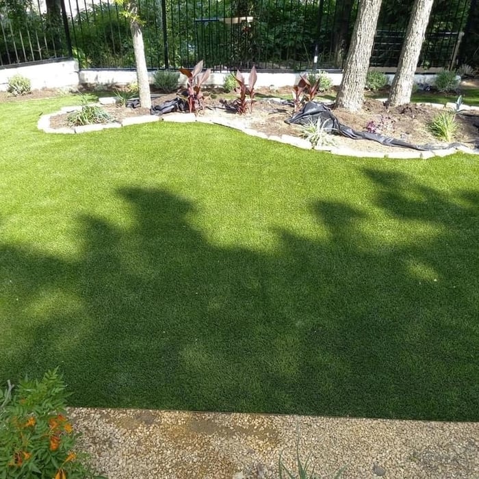 Sierra Blend