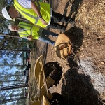 Forest Capital State Park