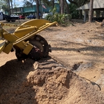 Forest Capital State Park