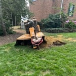 Stump Grinding