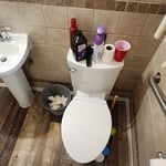 Bathroom remodel