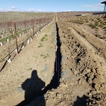 Utility trench