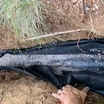 storm drain