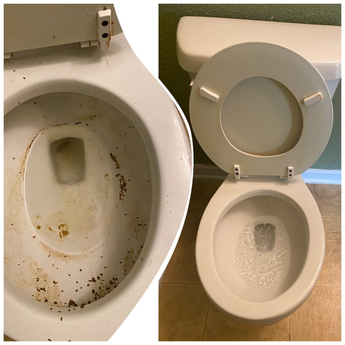 Toilet Rejuvenation
