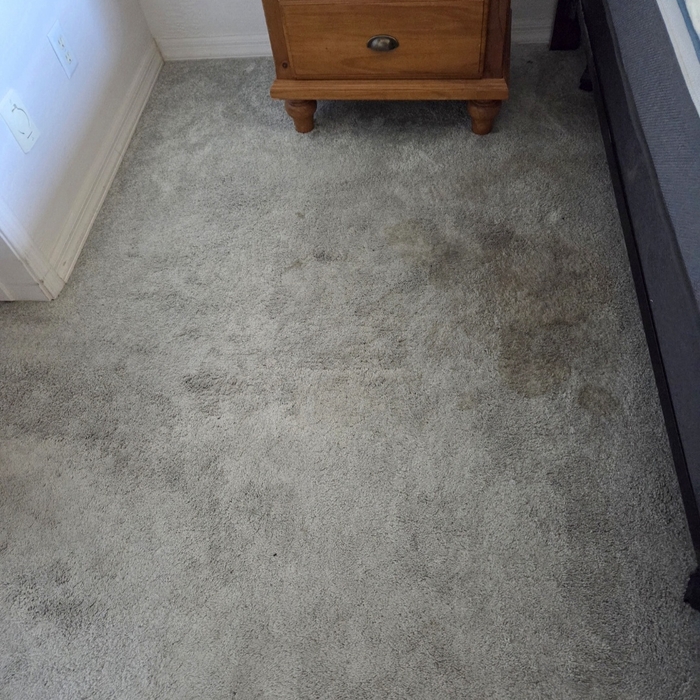 Carpet Cleaning