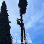 Our Work