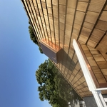 Cedar shake