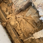 rotten floor
