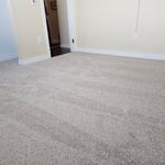Carpet