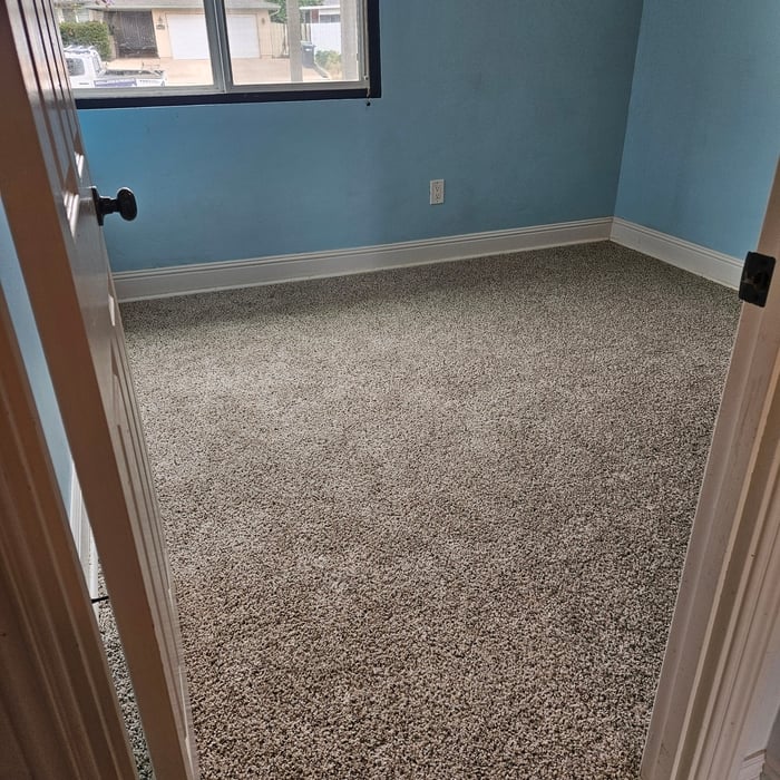 Carpet