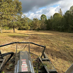 Brush Clearing