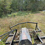 Brush Clearing