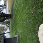 Client’s yard after clean up