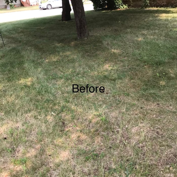 Before cleaning this yard