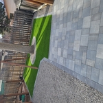 backyard 3