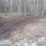 Brush Clearing