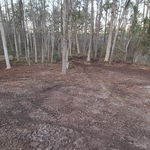 Brush Clearing