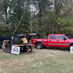 Tree Stump Removal
