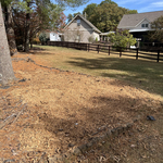 Tree Stump Removal