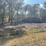Debris Cleanup