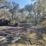 Debris Cleanup