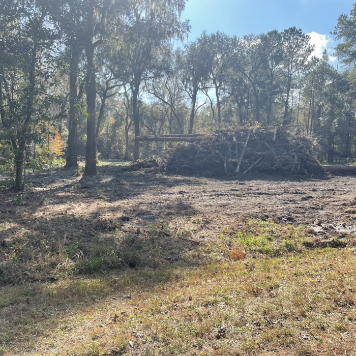 Debris cleanup