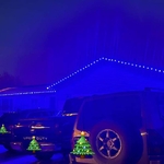 Holiday Lights
