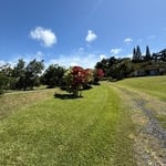 Lawn care