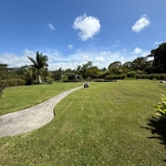 Mowing Maintenance
