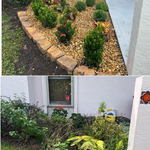 Before and After