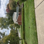 Hedges
