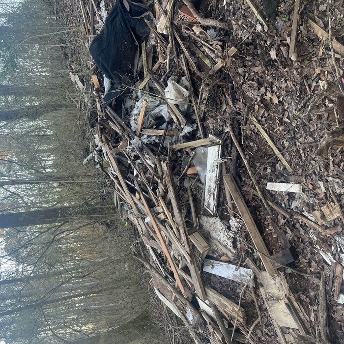 Lumber Pile Before