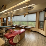 Cordless-Bottom Up Honeycomb Shades