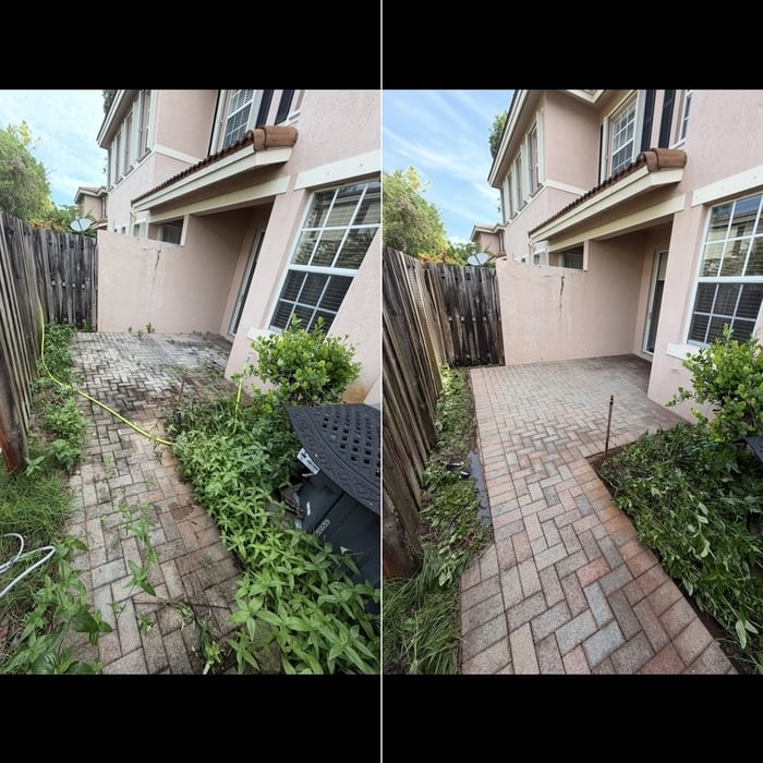 Back Patio Restore