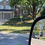 Trim and yard cleaning