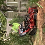 Stump grind
