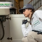 We Protect Your Home