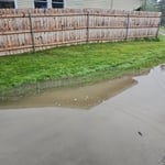 Soggy Driveway 2