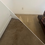 Cleaned carpet