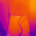 Hidden Mold/Moisture