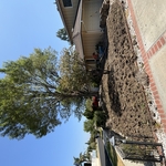 Before Picture of RTF Installation