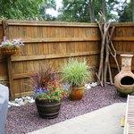Patio Landscape