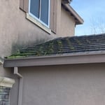 Roof moss growth