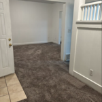 Rental Carpet