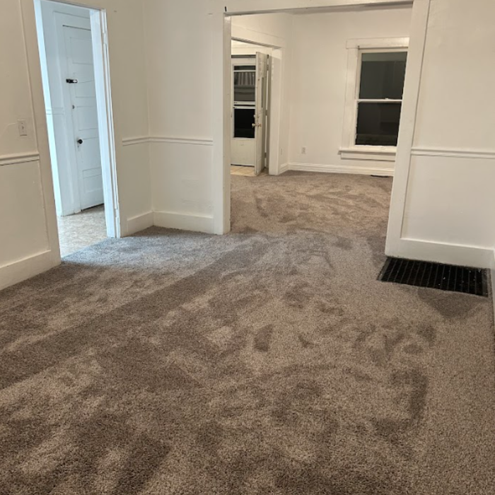 Rental Carpet