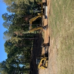 Land Clearing