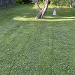 Cutting lawn