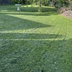 Cutting lawn