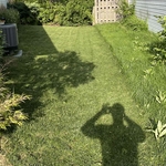 Cutting lawn